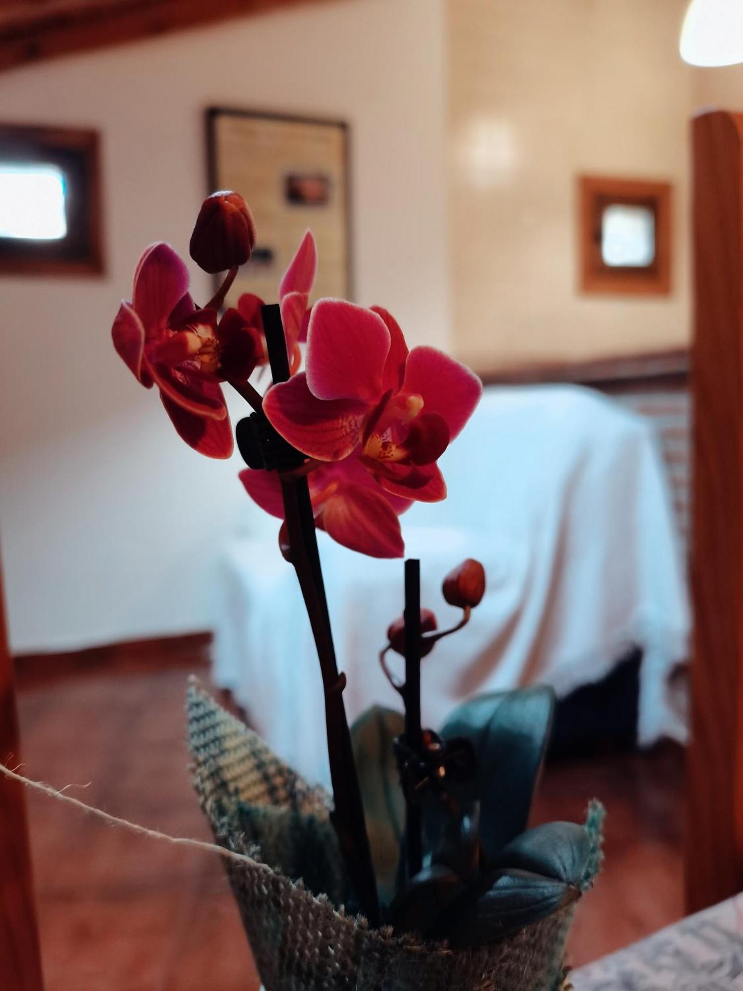 Casa Rural Parada Real Garganta la Olla Luaran gambar