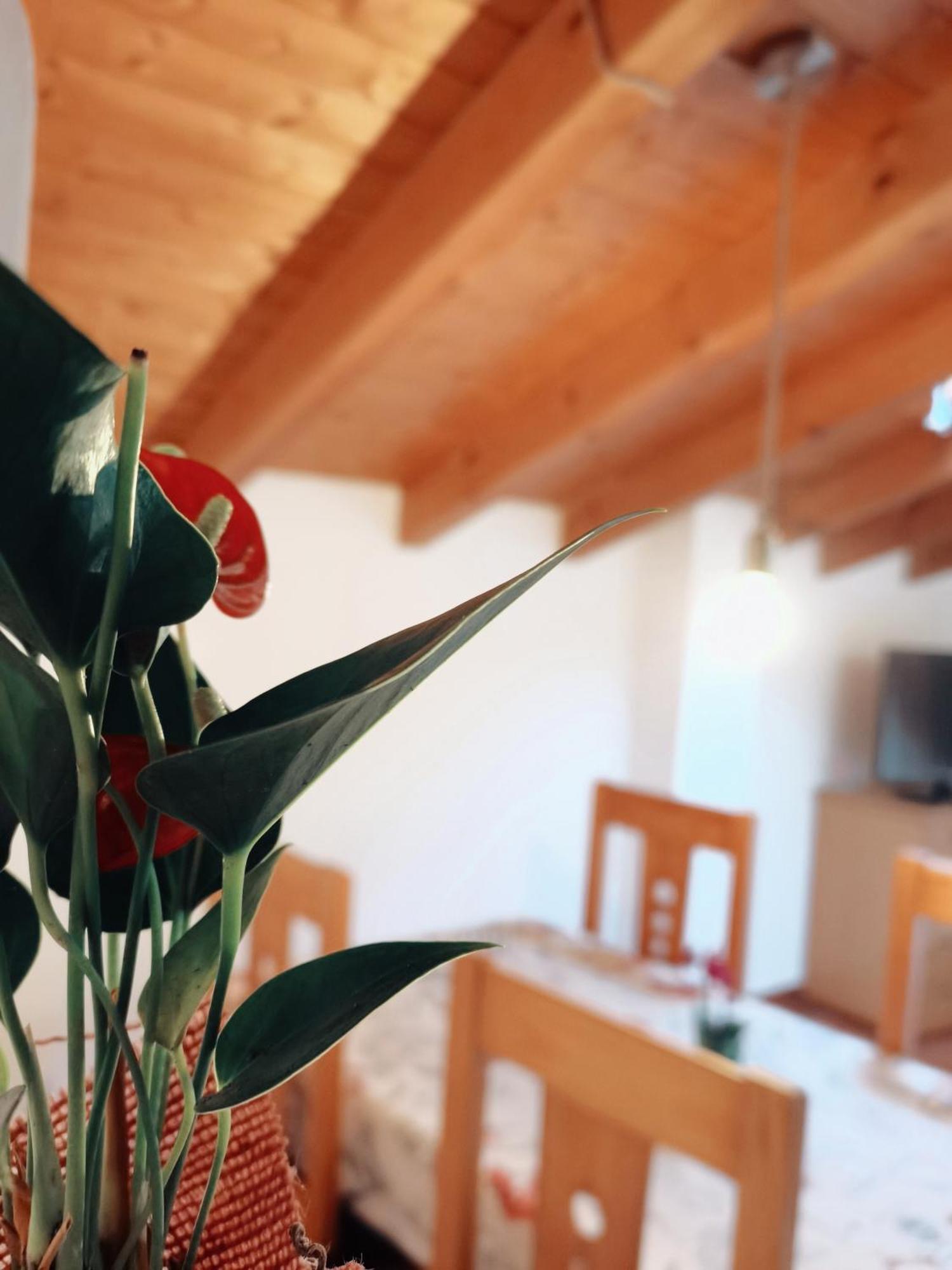 Casa Rural Parada Real Garganta la Olla Luaran gambar